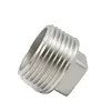 Spina quadrata avvitata della testa dei montaggi del tubo filettato degli accessori per tubi di acciaio inossidabile, 150PSI, SS304 SS316
