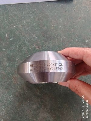 Accessori per tubi d'acciaio forgiati di ASTM A105 F304 6000# Weldolet