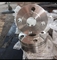 Flange in acciaio Flangia duplex per saldatura a presa in acciaio inossidabile UNS S31803