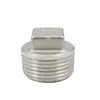 Spina quadrata avvitata della testa dei montaggi del tubo filettato degli accessori per tubi di acciaio inossidabile, 150PSI, SS304 SS316
