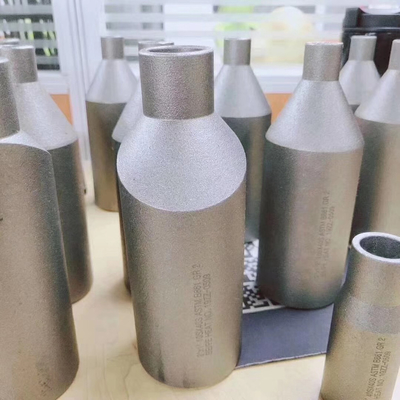 ANSI/ASME Acciaio inossidabile Acciaio al carbonio Sottovoce di saldatura Swaged Nipple Dimensioni personalizzabili & Materiale di grado industriale