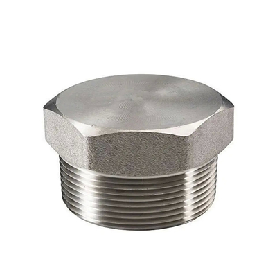 ANSI/ASME Acciaio inossidabile Acciaio carbonio chiusura Dimensioni personalizzabili & Materiale di grado industriale