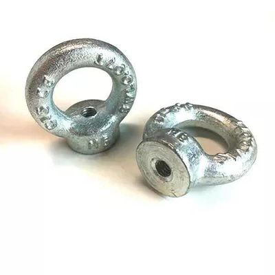 JIS B1168 ha galvanizzato i dadi dell'anello di sospensione di DIN582 SS304