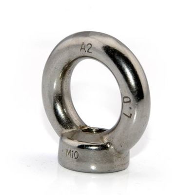 JIS B1168 ha galvanizzato i dadi dell'anello di sospensione di DIN582 SS304