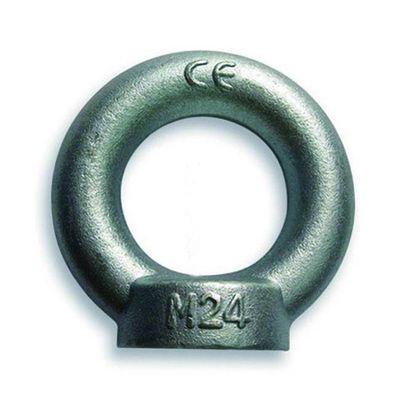 Bullone DIN582 dell'anello di sospensione DIN580 di acciaio inossidabile con la doppi rondella e dado SS304 /SS316