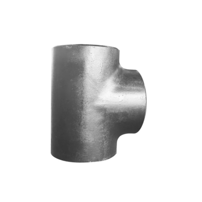 T uguale A403 WP304 12