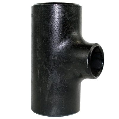 Fondendo 24