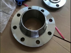 Flange dell'acciaio legato