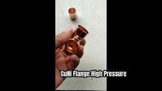 Collo saldato flangia CuNi 90/10 EEMUA 145