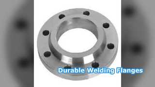 Flange del collo di saldatura SS304 SS316 PN6